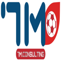 7M consulting