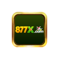 877x br com