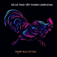 ĐÁ GÀ TRỰC TIẾP THEDIVERGENTS