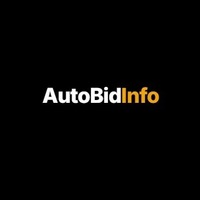 AutoBidInfo 