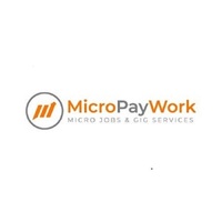 Micro PayWork