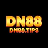 DN88 