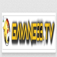 gavang33com com