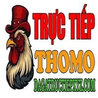 ĐÁ GÀ TRỰC TIẾP XYZ
