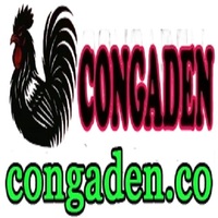 ĐÁ GÀ TRỰC TIẾP congaden.co