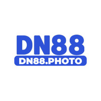 DN88 photo