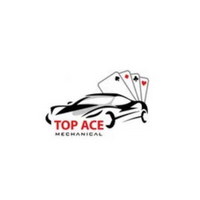 Top Ace  Mechanical