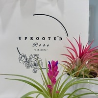 Sarasota  Florist