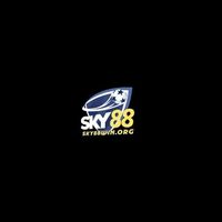 SKY 88