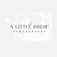 A Little Birdie  Photography