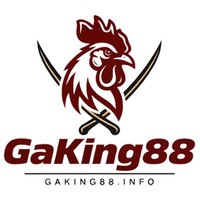 GaKing88 dot Info