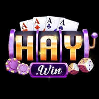 HAYWIN cc