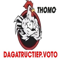 ĐÁ GÀ TRỰC TIẾP VOTO