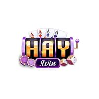 HAYWIN 