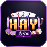 HAYWIN 